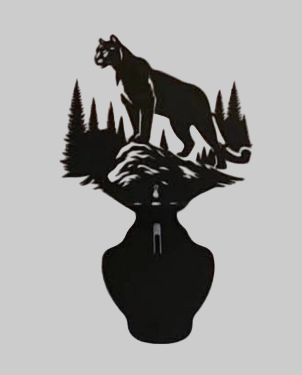 Cougar on Rock