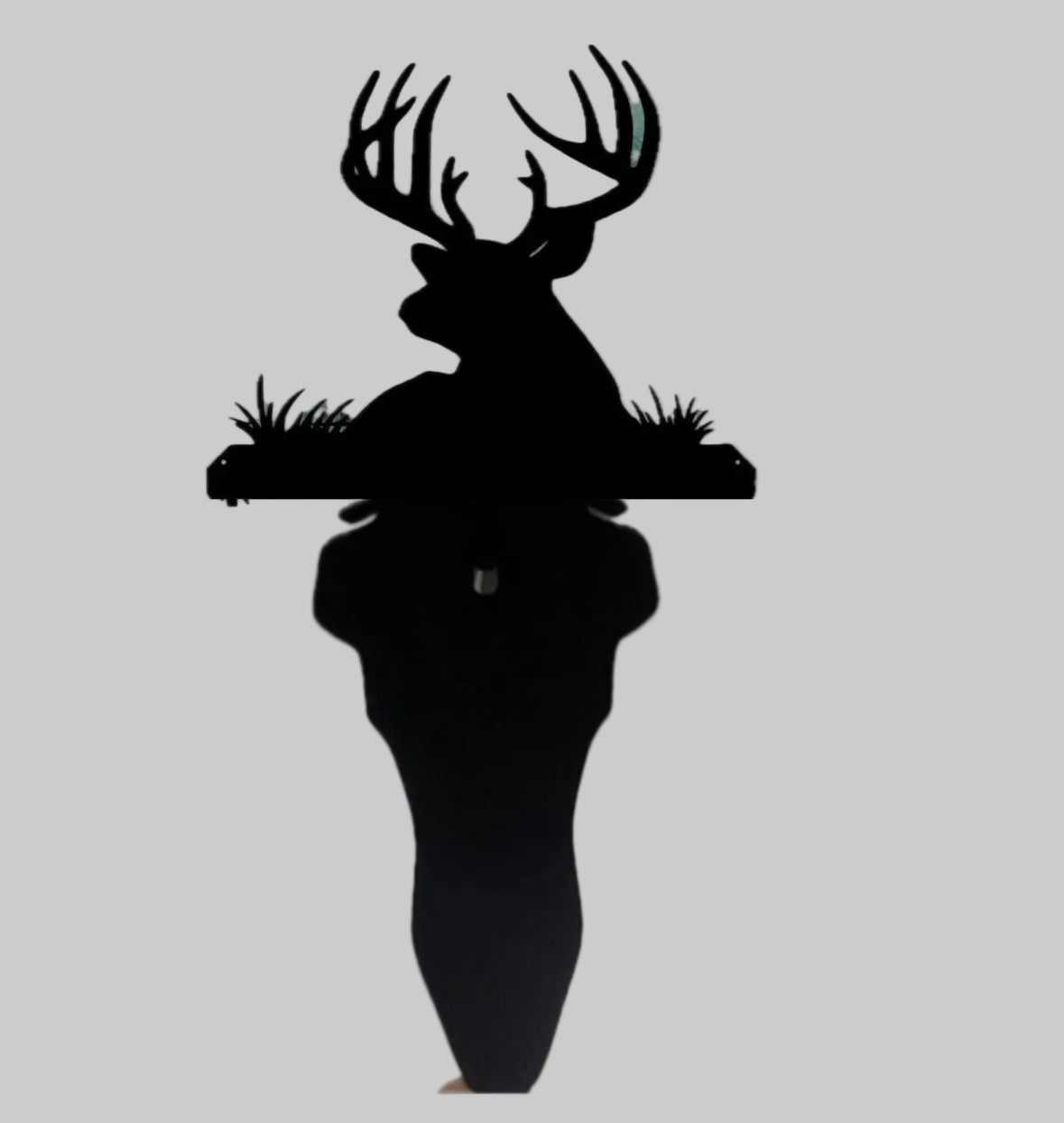 Resting Buck