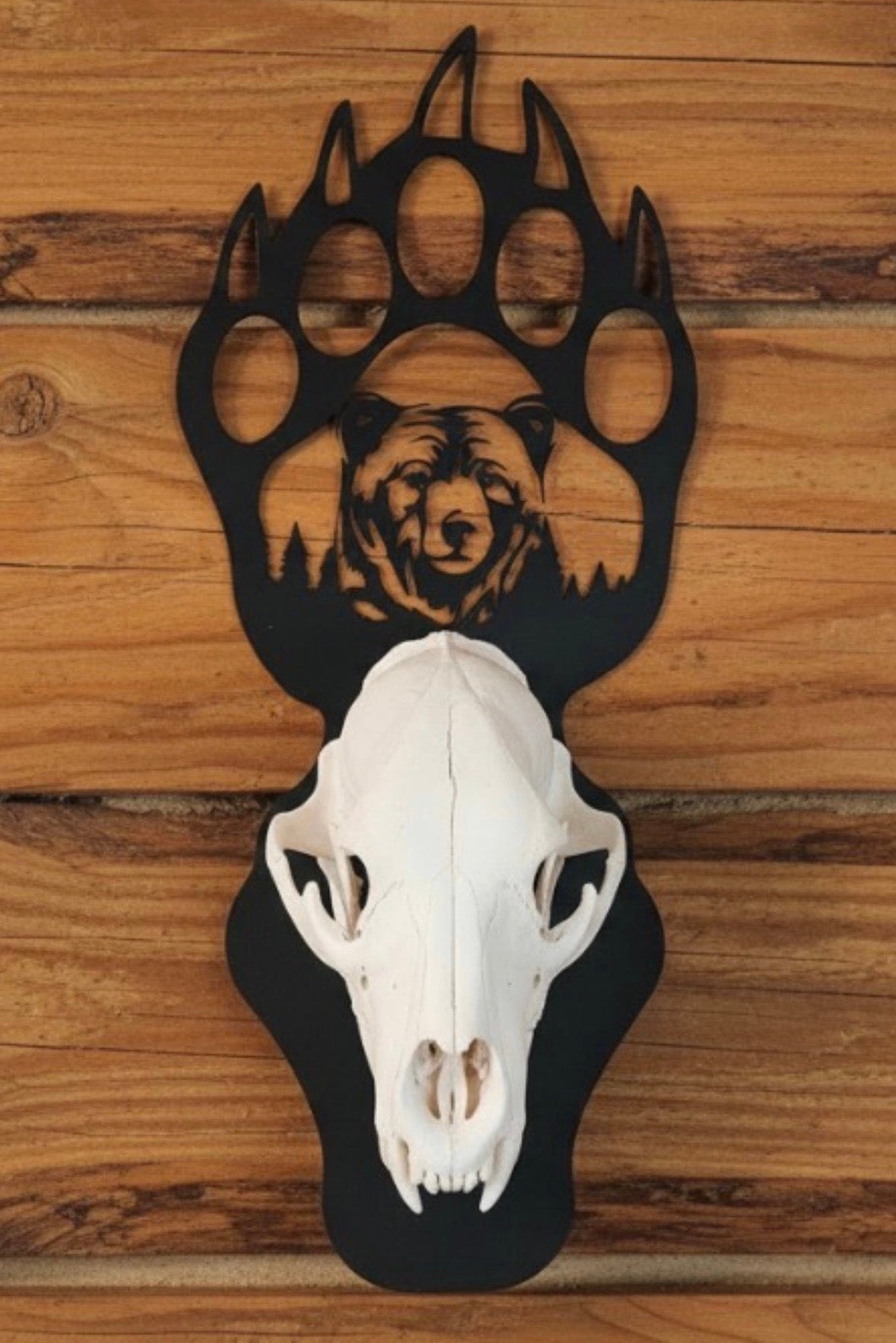 Stare Down ~ Euro Hanger