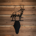 Oryx Euro Hanger Product Photo